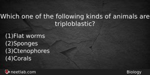Which One Of The Following Kinds Of Animals Are Triploblastic Biology Question