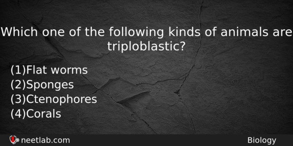 Which One Of The Following Kinds Of Animals Are Triploblastic Biology Question 