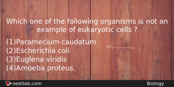 Which One Of The Following Organisms Is Not An Example Biology Question 