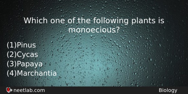 Which One Of The Following Plants Is Monoecious Biology Question 