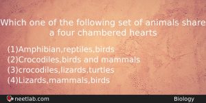 Which One Of The Following Set Of Animals Share A Biology Question