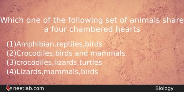 Which One Of The Following Set Of Animals Share A Biology Question 