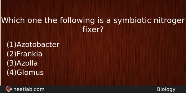 Which One The Following Is A Symbiotic Nitroger Fixer Biology Question 