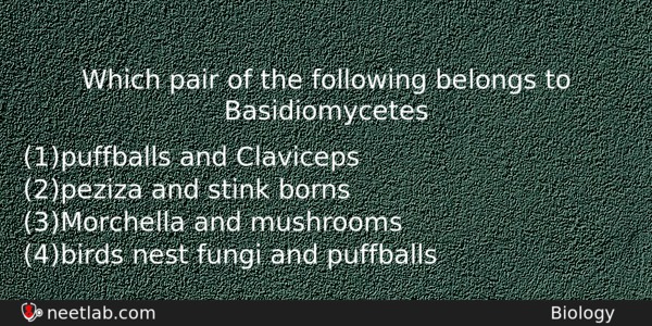 Which Pair Of The Following Belongs To Basidiomycetes Biology Question 