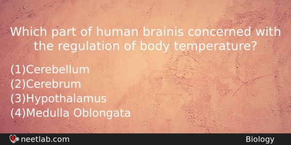 Which Part Of Human Brainis Concerned With The Regulation Of Biology Question 