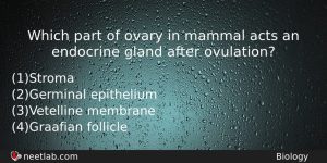 Which Part Of Ovary In Mammal Acts An Endocrine Gland Biology Question