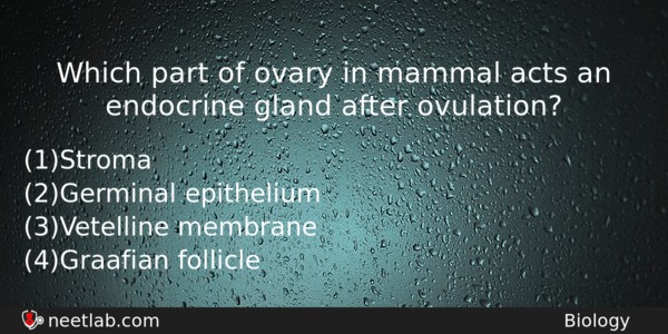 Which Part Of Ovary In Mammal Acts An Endocrine Gland Biology Question 