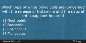 Which Type Of White Blood Cells Are Concerned With The Biology Question