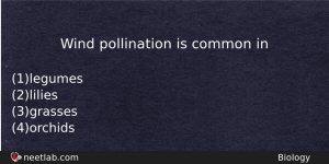 Wind Pollination Is Common In Biology Question
