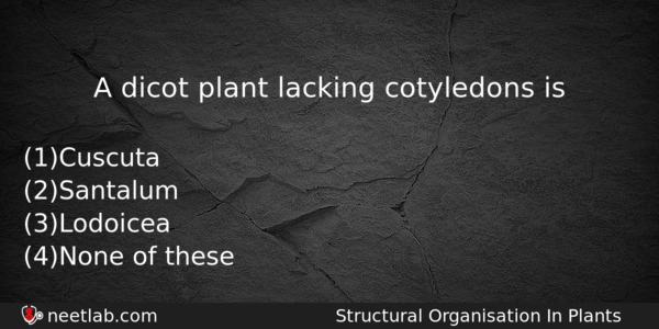 A Dicot Plant Lacking Cotyledons Is Biology Question 