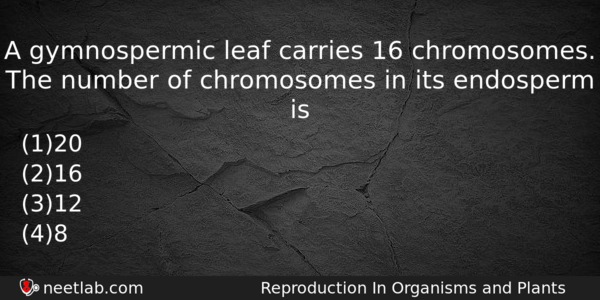 A Gymnospermic Leaf Carries 16 Chromosomes The Number Of Chromosomes Question 