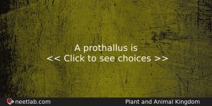 A Prothallus Is Biology Question