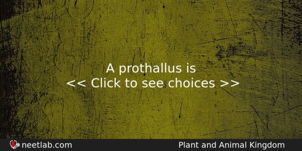 A Prothallus Is Biology Question 