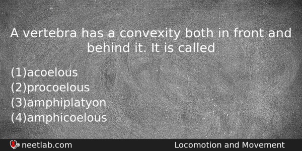A Vertebra Has A Convexity Both In Front And Behind Biology Question 