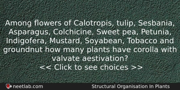 Among Owers Of Calotropis Tulip Sesbania Asparagus Colchicine Sweet Pea Biology Question 
