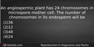 An Angiospermic Plant Has 24 Chromosomes In Microspore Mother Cell Biology Question