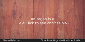 An Organ Is A Biology Question