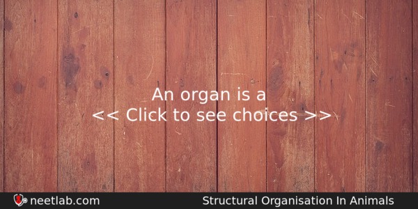 An Organ Is A Biology Question 