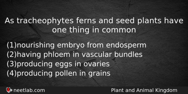 As Tracheophytes Ferns And Seed Plants Have One Thing In Biology Question 