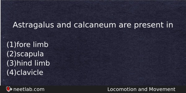 Astragalus And Calcaneum Are Present In Biology Question 