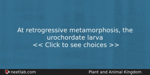 At Retrogressive Metamorphosis The Urochordate Larva Biology Question