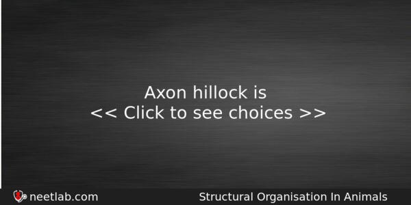 Axon Hillock Is Biology Question 