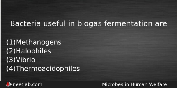 Bacteria Useful In Biogas Fermentation Are Biology Question 