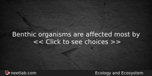 Benthic Organisms Are Affected Most By Biology Question