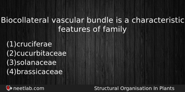 Biocollateral Vascular Bundle Is A Characteristic Features Of Family Biology Question 
