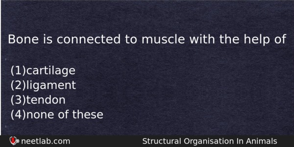 Bone Is Connected To Muscle With The Help Of Biology Question 
