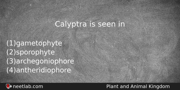Calyptra Is Seen In Biology Question 