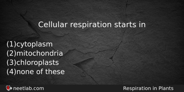Cellular Respiration Starts In Biology Question 