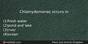 Chlamydomonas Occurs In Biology Question