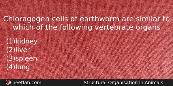 Chloragogen Cells Of Earthworm Are Similar To Which Of The Biology Question 