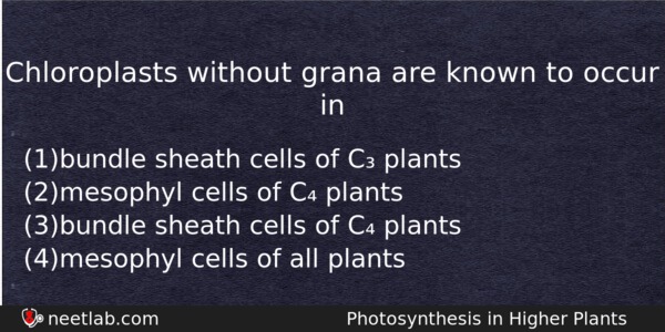 Chloroplasts Without Grana Are Known To Occur In Biology Question 