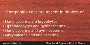 Companion Cells Are Absent In Pholem Of Biology Question