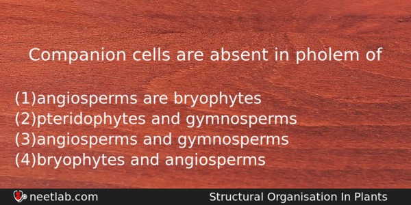 Companion Cells Are Absent In Pholem Of Biology Question 