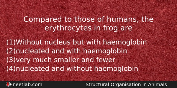 Compared To Those Of Humans The Erythrocytes In Frog Are Biology Question 