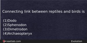 Connecting Link Between Reptiles And Birds Is Biology Question