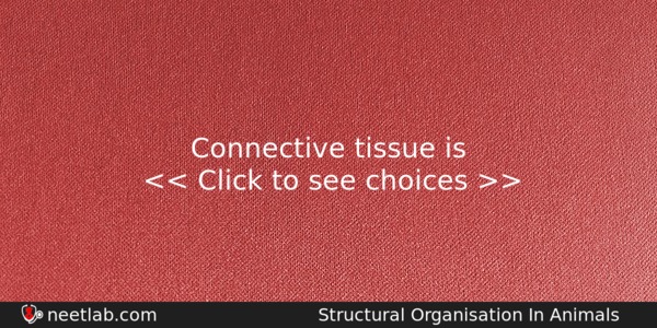 Connective Tissue Is Biology Question 