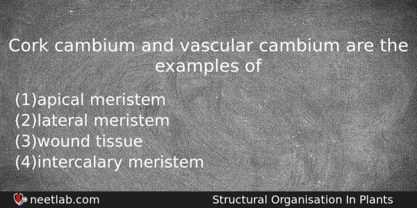 Cork Cambium And Vascular Cambium Are The Examples Of Biology Question 