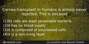 Cornea Transplant In Humans Is Almost Never Rejected This Is Biology Question