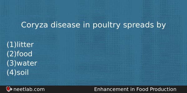 Coryza Disease In Poultry Spreads By Biology Question 