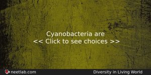 Cyanobacteria Are Biology Question