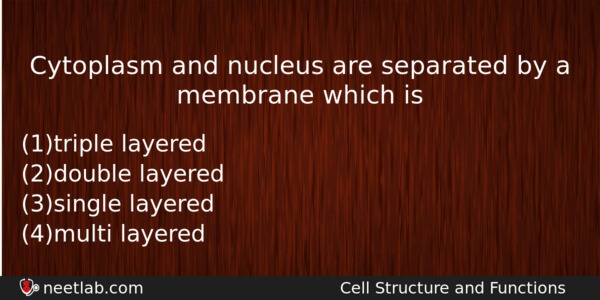 Cytoplasm And Nucleus Are Separated By A Membrane Which Is Biology Question 