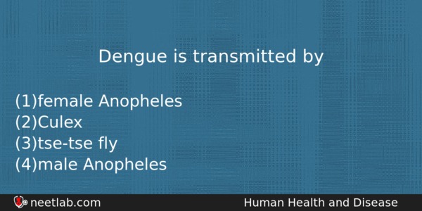 Dengue Is Transmitted By Biology Question 