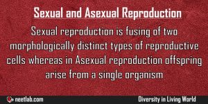 Difference Between Asexual Reproduction And Sexual Reproduction Diversity In Living World Explanation