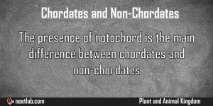Difference Between Chordates And Nonchordates Plant And Animal Kingdom Explanation