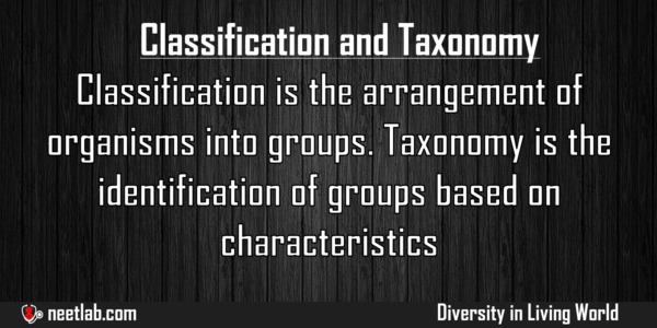 Difference Between Classification And Taxonomy Diversity In Living World Explanation 