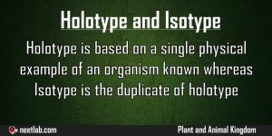Difference Between Holotype And Isotype Plant And Animal Kingdom Explanation